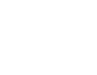 Cena Jiřího Lišky