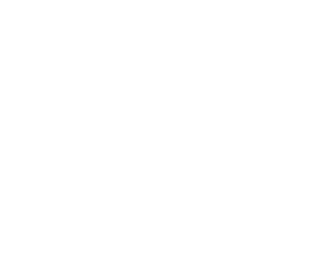 Cena Jiřího Lišky
